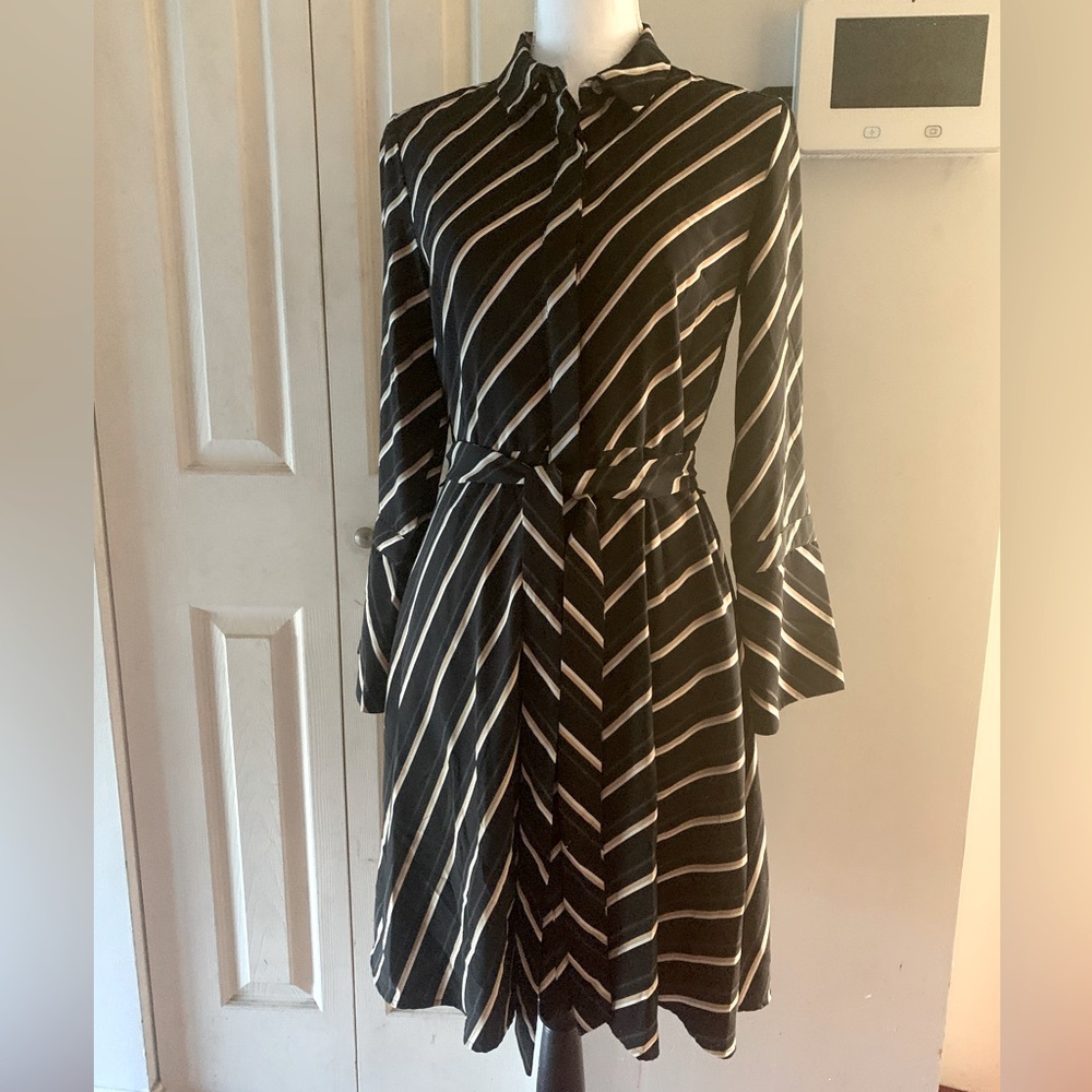Banana Republic Shirt dress WITH POCKETS!